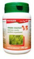 Coada calului, 70cps - Favisan