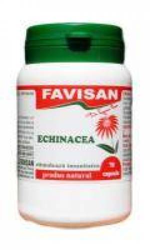 Echinacea, 70cps - Favisan