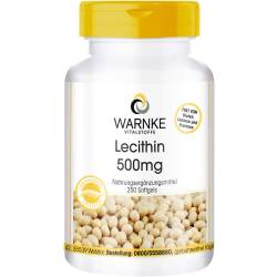 Lecithin 500 mg Kapseln 250 St