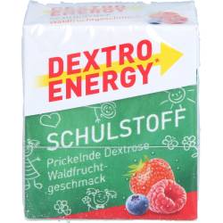 Dextro Energy Schulstoff Waldfrucht Täfelchen 50 g