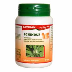 Schinduf 300mg 40cps - Favisan