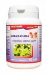 GINKGO BILOBA, 40cps - Favisan