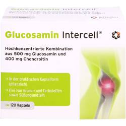 Glucosamin Intercell Kapseln 120 St