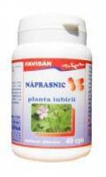 NAPRASNIC, 40cps - Favisan