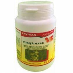 TURITA MARE 70cps, Favisan