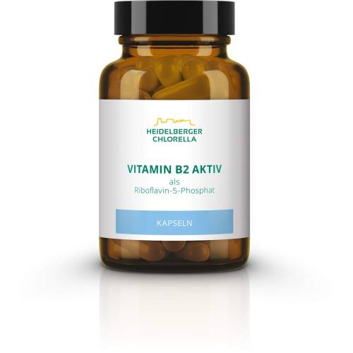 Vitamin B2 Aktiv Kapseln 60 St