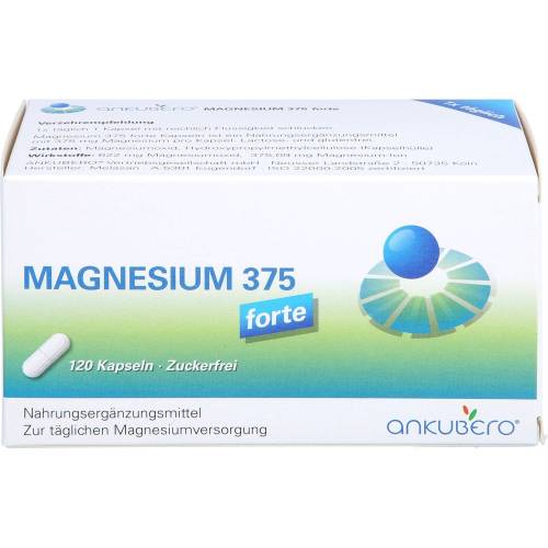 Magnesium 375 forte Kapseln 120 St