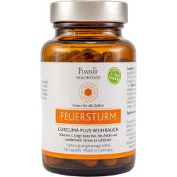 Curcuma Plus Weihrauch Kapseln 60 St