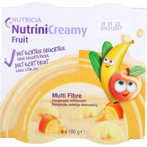 Nutrini Creamy Fruit Sommerfrüchte 400 g