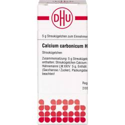 Calcium Carbonicum Hahnemanni Lm Xxiv Globuli 5 g