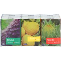 Taschentücher Pocket Flora 1 St