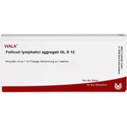 Folliculi Lymphatici aggregati Gl D 12 Ampullen 10 ml