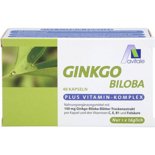 Ginkgo 100 mg Kapseln+B1+C+E 48 St