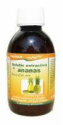 SOLUTIE EXTRACTIVA DE ANANAS, 200ml - Favisan