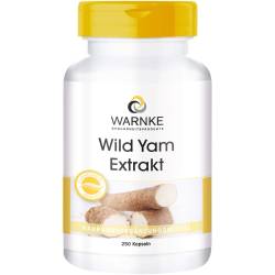 Wild Yam Extrakt Kapseln 250 St