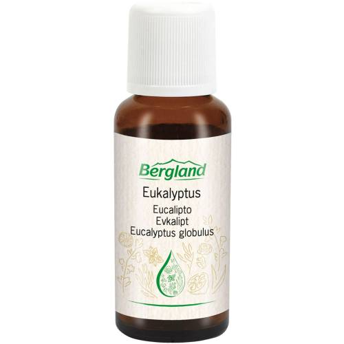 Eukalyptus Öl natürlich 30 ml