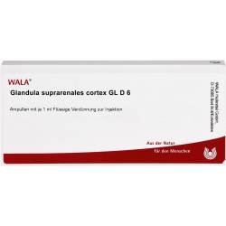 Glandula Suprarenales cortex Gl D 6 Ampullen 10 ml