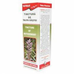 TINCTURA DE TALPA GASTII 50ml, Favisan