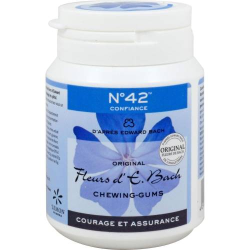 Selbstvertrauen Kaugummi nach Dr.Bach 40 St