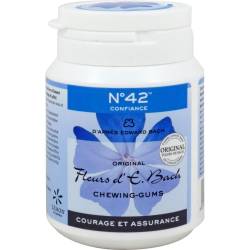 Selbstvertrauen Kaugummi nach Dr.Bach 40 St