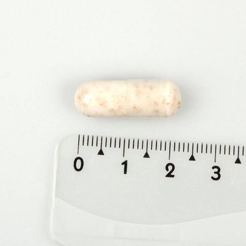 L-Carnitin 500 Kapseln 100 St