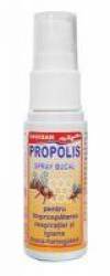 PROPOLIS SPRAY BUCAL, 30ml - Favisan