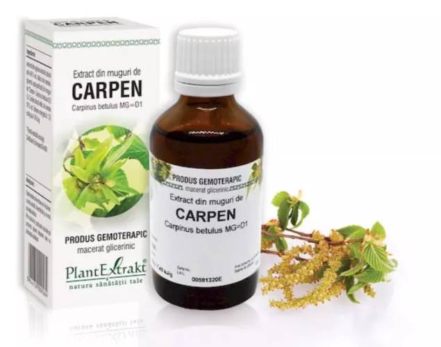 Extract de carpen hidro-glicero-alcoolic X 50ml fl.  Plantextrakt