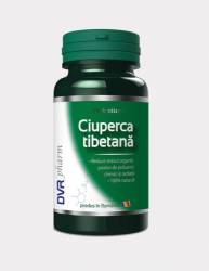 Ciuperca tibetana 60cps - DVR Pharm