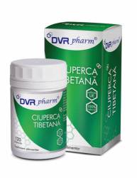 Ciuperca tibetana, 120cps - DVR Pharm