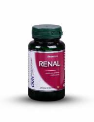 Renal 20cps, DVR Pharm