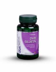 DVR Silueta 60cps, DVR Pharm