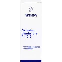 Cichorium Planta tota Rh D 3 Dilution 20 ml
