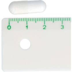 Regulator-Köhler magensaftresistente Kapseln 100 St