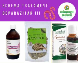 Schema de tratament deparazitar III