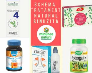 Sinuzita, Schema tratament natural sinuzita acuta si cronica