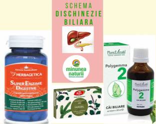 Schema dischinezie biliara tratament vezica biliara lenesa