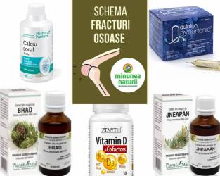 Schema vindecarea mai rapida a fracturilor si fisurilor osoase
