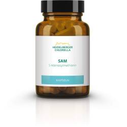Sam S-Adenosylmethionin Kapseln 60 St
