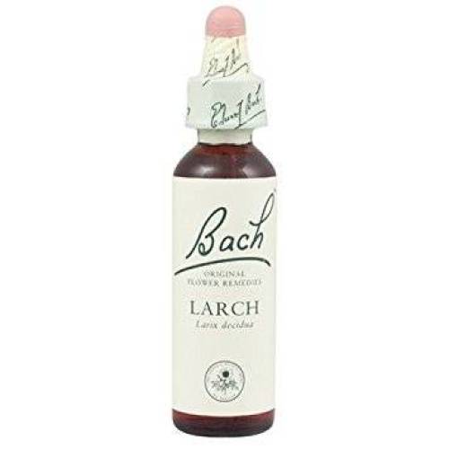 Larch - Larita  (Bach19) 20ml - Remediu Floral Bach