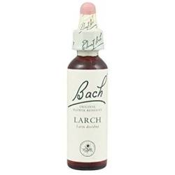 Larch - Larita  (Bach19) 20ml - Remediu Floral Bach