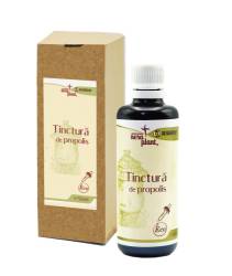 TINCTURA DE PROPOLIS - 50ml - ALVARIUM