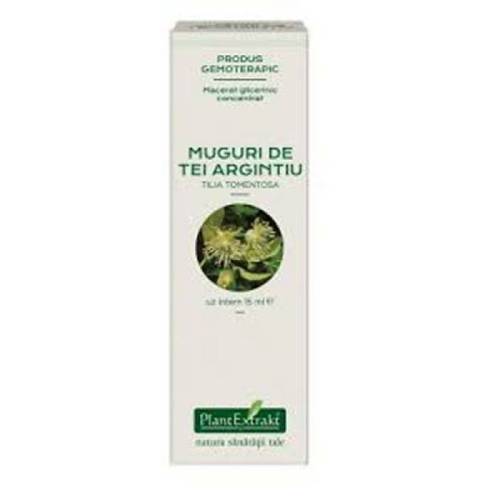 TEI ARGINTIU - muguri - gemoderivat concentrat - 15ml - PlantExtrakt