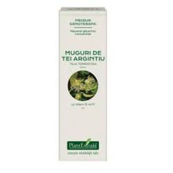 TEI ARGINTIU - muguri - gemoderivat concentrat - 15ml - PlantExtrakt
