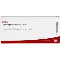 Galea aponeurotica Gl D 5 Ampullen 10 ml