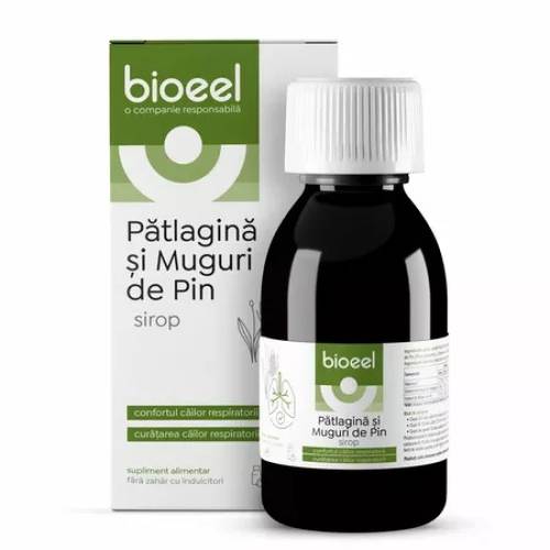 Sirop de patlagina si muguri de pin 120 ml, Bioeel