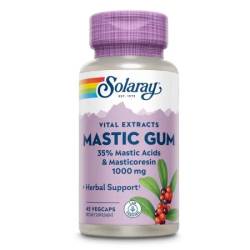 Mastic Gum 500 mg, 45 capsule – Solaray / Secom