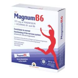 Magnum B6, 20 plicuri – Sun Wave Pharma