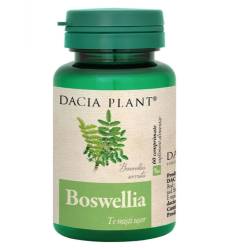 Boswellia 60 comprimate Dacia Plant