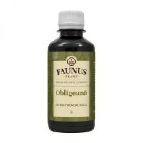 Tinctura de obligeana 200ml FAUNUS PLANT