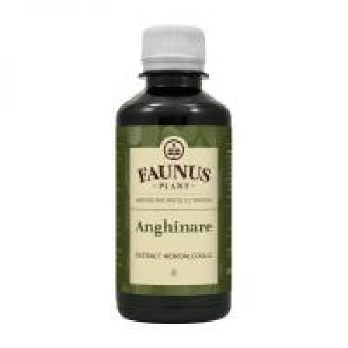 Tinctura de anghinare 200ml FAUNUS PLANT